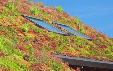 Flamstead living roof systems